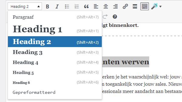 Handleiding SEO - opmaak tekst en tussenkoppen - Provite